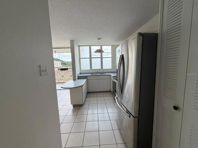 204 Parque San Antonio, Caguas, PR 00725 - photo 5