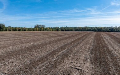 80AC NW 44th St, Jennings, FL 32053 - photo 7