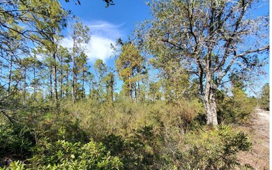 0 Brown Rd unit 123984, Lee, FL 32059 - photo 6