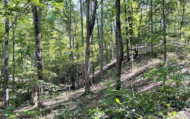 Additional View
