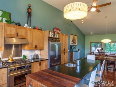 78 Merrell Rd, Leicester, NC 28748 - photo 7