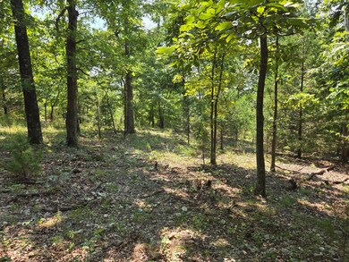 000 Highway 181, Cabool, MO 65689 - photo 6