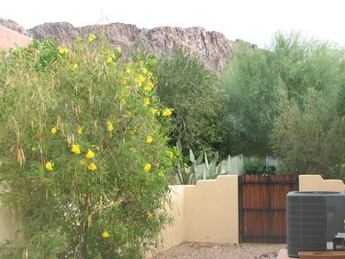 IMG_0048 - Copy