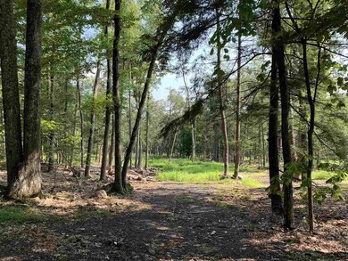 Lot 2 TBD Cherry Hill Rd, Stone Ridge, NY 12484 - photo 2