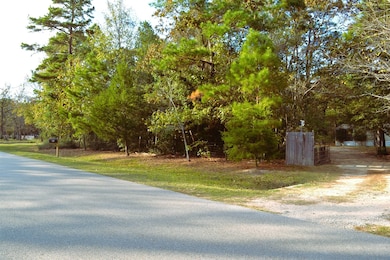 24854 Shady Oaks Blvd, Montgomery, TX 77316 - photo 2