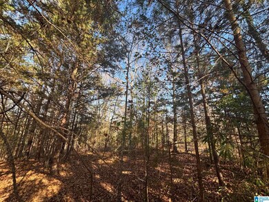 0 Smith Ln, Talladega, AL 35160 - photo 2