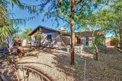 49 E Jasmine St back