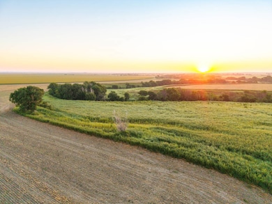 000 NE 234 Rd-81 Acres, Burdett, KS 67523 - photo 3