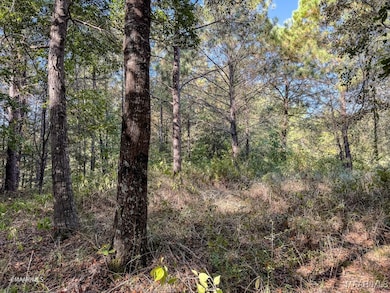 Lot 63 & 63A Riverview Landing Dr, Camden, AL 36726 - photo 7