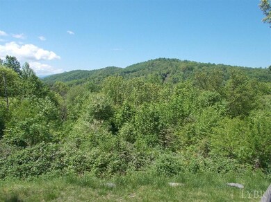 189 Little Cabin Rd, Amherst, VA 24521 - photo 4