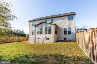 4719 Barnum Ln, Alexandria, VA 22312 - photo 6