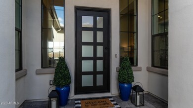 Custom Iron Front Door