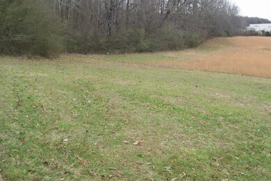 1989 Copenhaver Rd, Rock Island, TN 38581 - photo 3