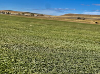 Sod Fields