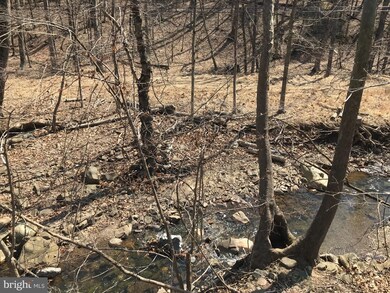 0 Fort Run Rd unit 1000431344, Moorefield, WV 26836 - photo 3