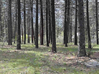 177XX N Saddle Hill Rd, Colbert, WA 99005 - photo 6