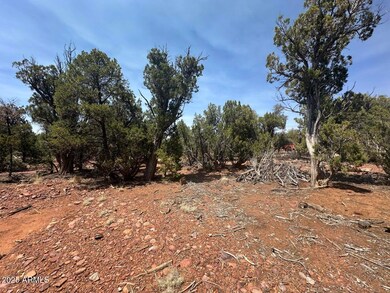 Lot #2 Power Line Rd unit S, Heber, AZ 85928 - photo 2
