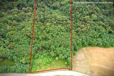20C N Rockfish Rd, Hilham, TN 38551 - photo 4
