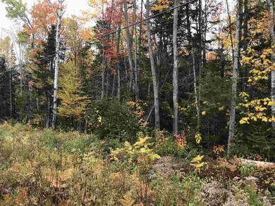 0 Fish Pond Rd unit Lot 19 4781163, Colebrook, NH 03576 - photo 2