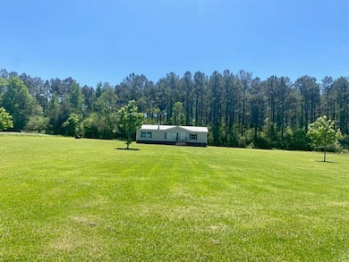 1079 Mount Herman Rd, Osyka, MS 39657 - photo 4