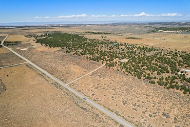 14726 Sage Brush Ln, Glade Park, CO 81523 - photo 6