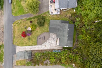 Drone View