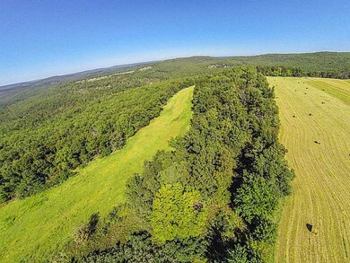 14607 Truelove Rd, West Fork, AR 72774 - photo 7