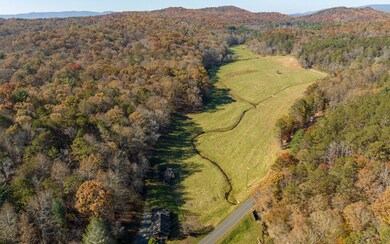2453 Flat Branch Rd, Ellijay, GA 30540 - photo 6