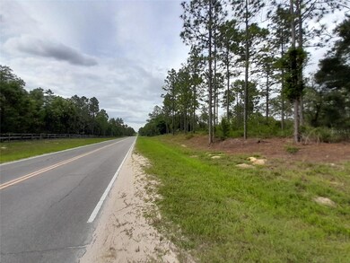 TBD SE 71st Place, Morriston, FL 32668 - photo 2