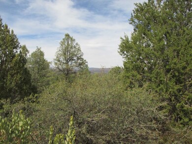 Photo 02