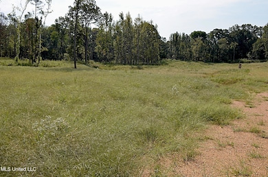 Land 5