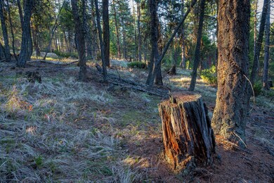 2019_04_30 Whitefish Hills-1-5