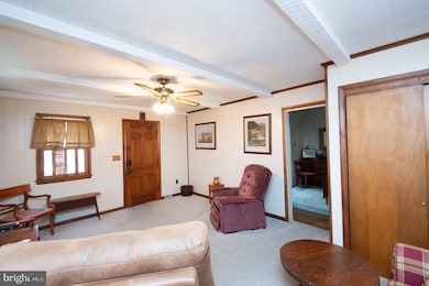 113 Talbot Ave, Cambridge, MD 21613 - photo 6