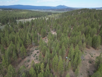 0 Tableland Rd unit 18380387, Sprague River, OR 97624 - photo 6