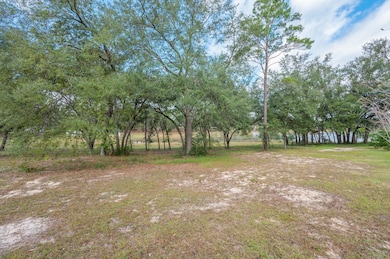 5-web-or-mls-Bream Pond Rd-04
