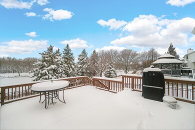 1008 Asbury Dr, Aurora, IL 60502 - photo 5