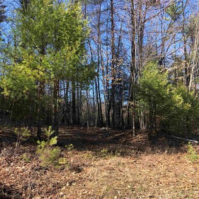 0 Call Rd unit 4857458, Webster, NH 03303 - photo 2