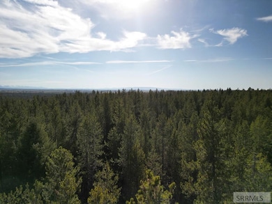 1663 Shadow Run, Ashton, ID 83420 - photo 2