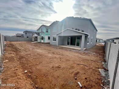 11 large backyard