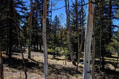 0 Kiowa St unit S1044835, Como, CO 80432 - photo 4