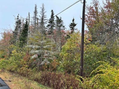 253 Hathorne Point Rd, Cushing, ME 04563 - photo 5