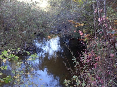 4107 E White River Dr, Hesperia, MI 49421 - photo 4