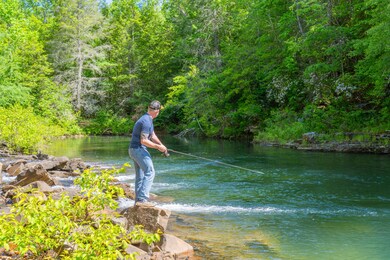 Dunlap-Echo-Point-Land-MLS-Photos-12