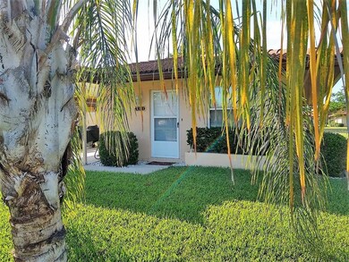 Front with Palm Tree
