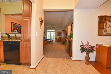 7305 Brookview Rd unit 205, Elkridge, MD 21075 - photo 5