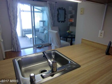 2236 Riding Crop Way, Windsor Mill, MD 21244 - photo 6