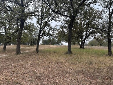 01 Lynch Bend Rd, Springtown, TX 76082 - photo 3