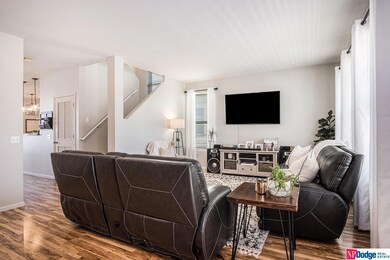 908 Mineral Dr, Papillion, NE 68046 - photo 7