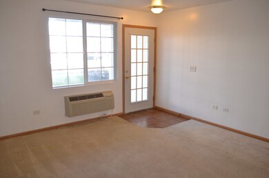 1437 Mcclure Rd unit 203, Aurora, IL 60505 - photo 7