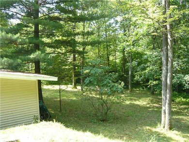 Yard/Garden.